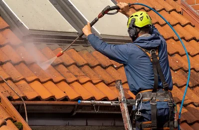 Démoussage et hydrofuge de toiture à Izeaux
